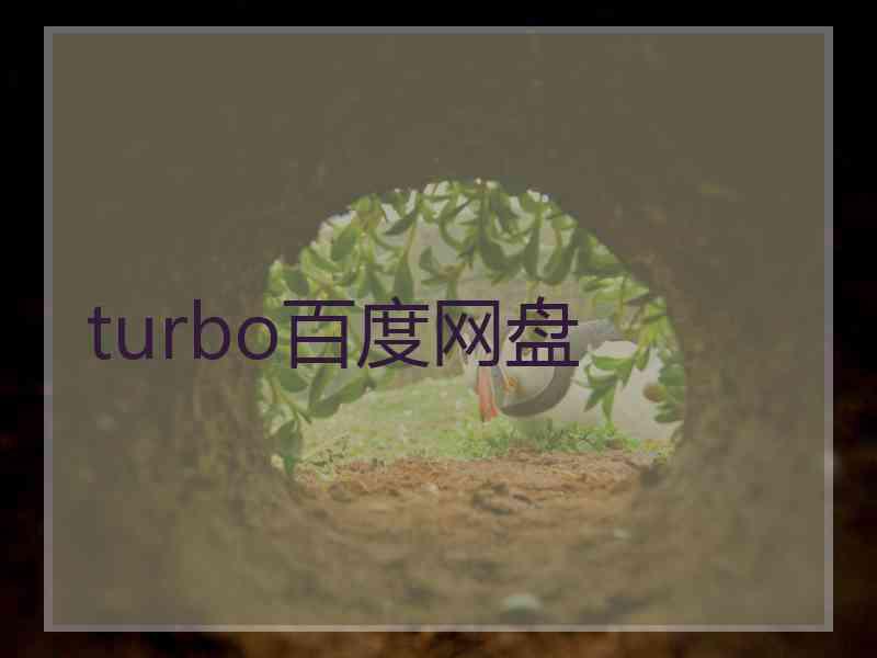 turbo百度网盘