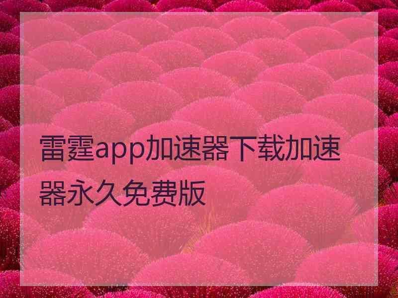 雷霆app加速器下载加速器永久免费版