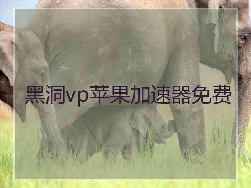 黑洞vp苹果加速器免费