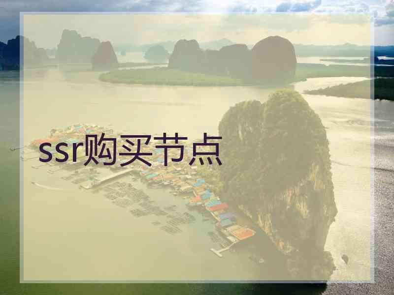 ssr购买节点