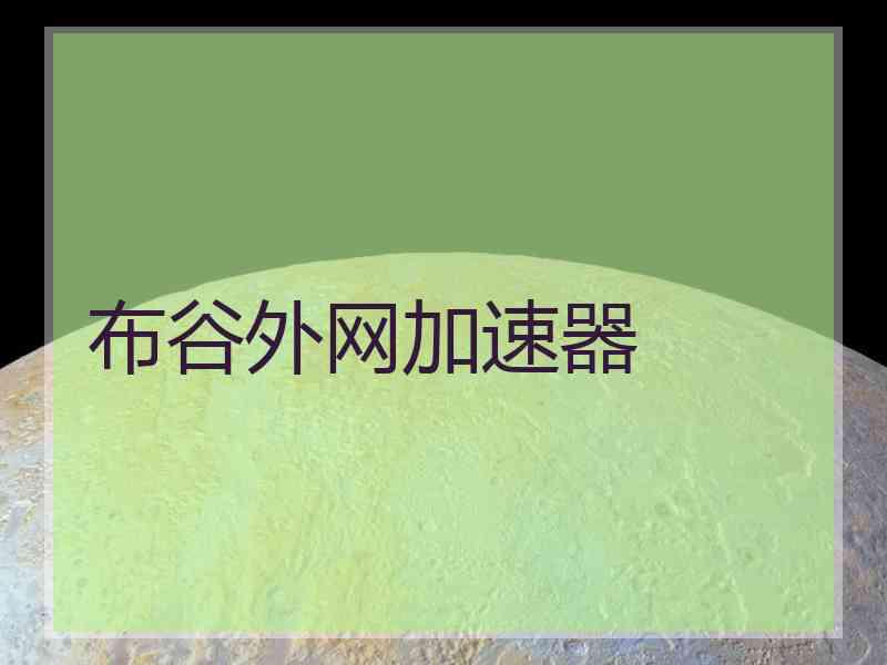 布谷外网加速器