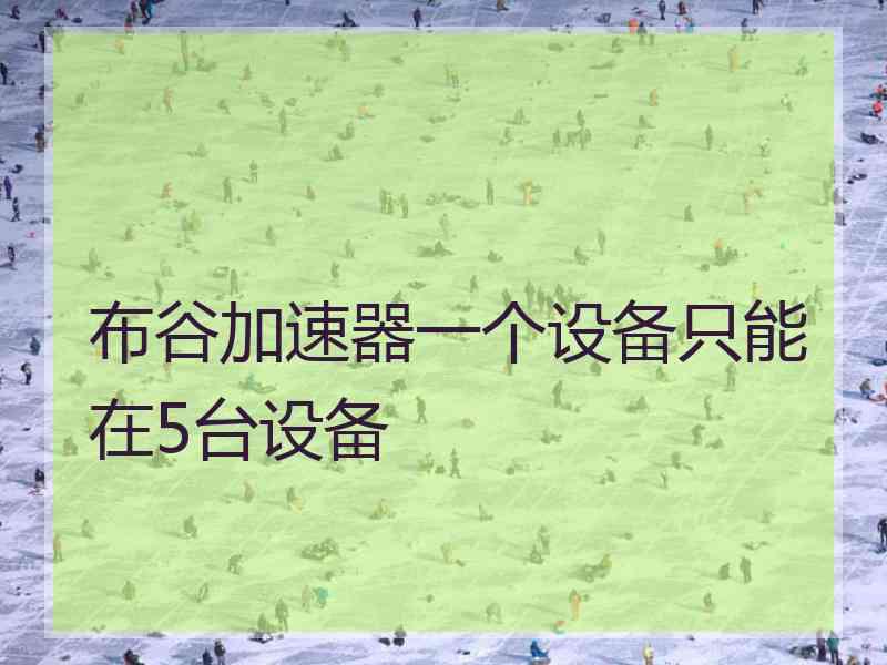 布谷加速器一个设备只能在5台设备