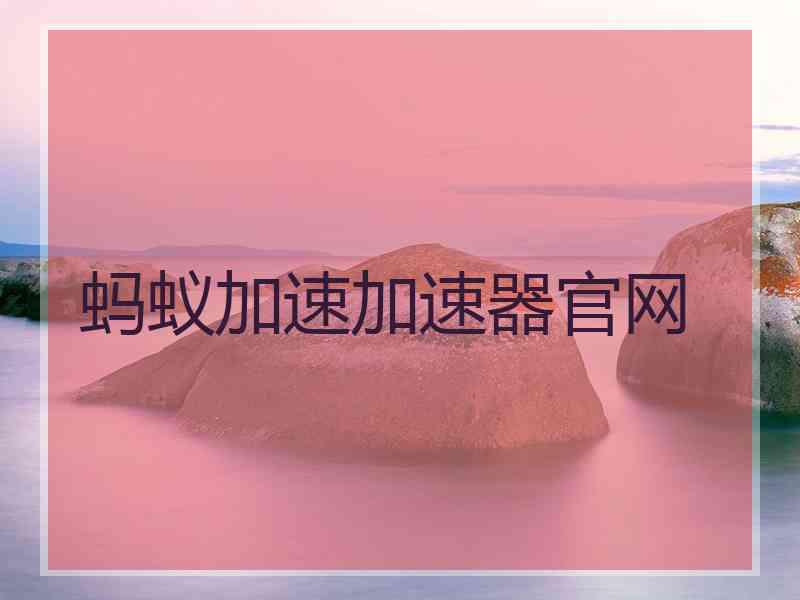蚂蚁加速加速器官网