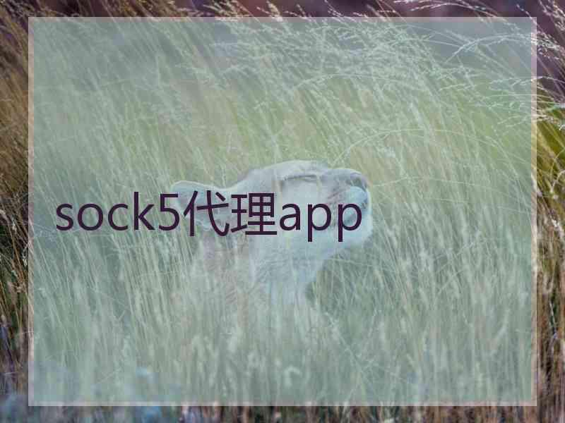 sock5代理app