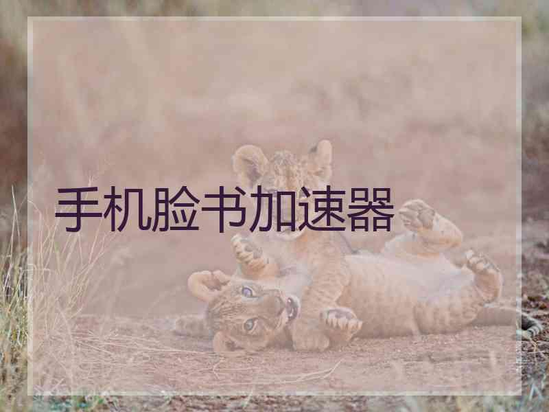 手机脸书加速器