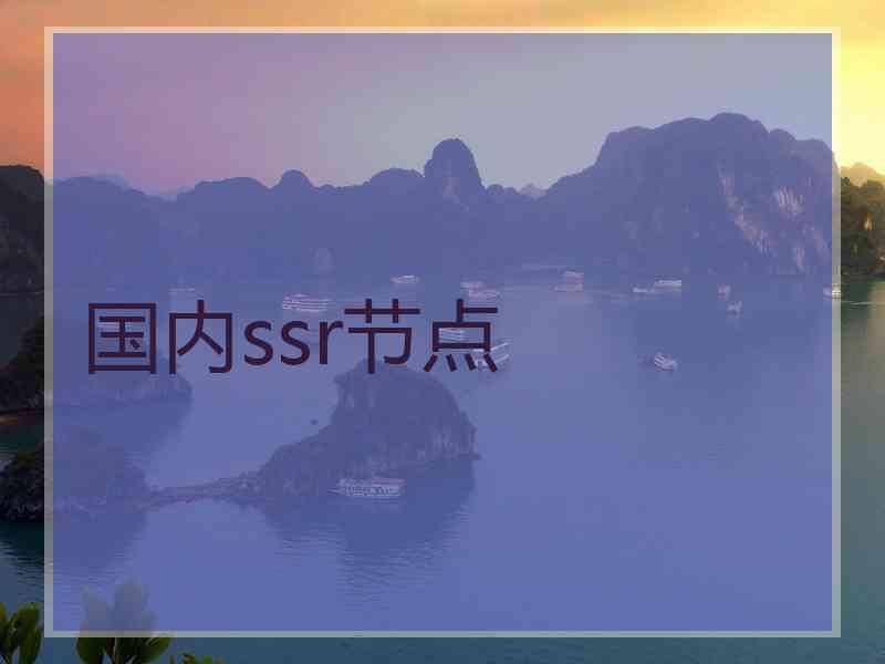 国内ssr节点