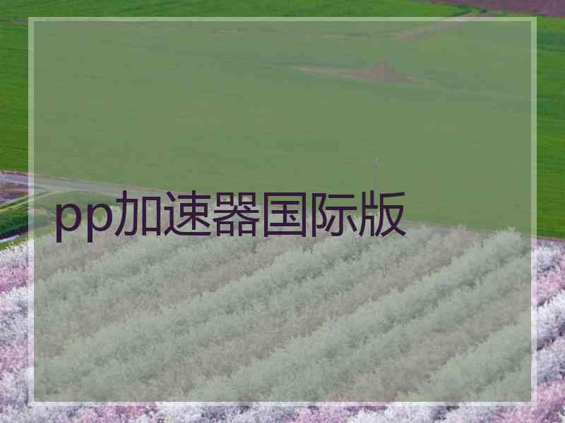 pp加速器国际版