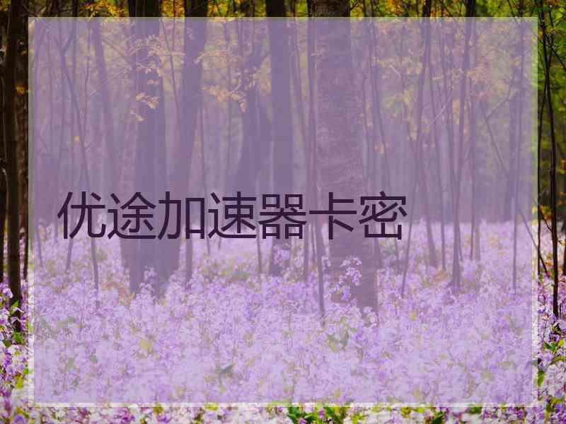 优途加速器卡密