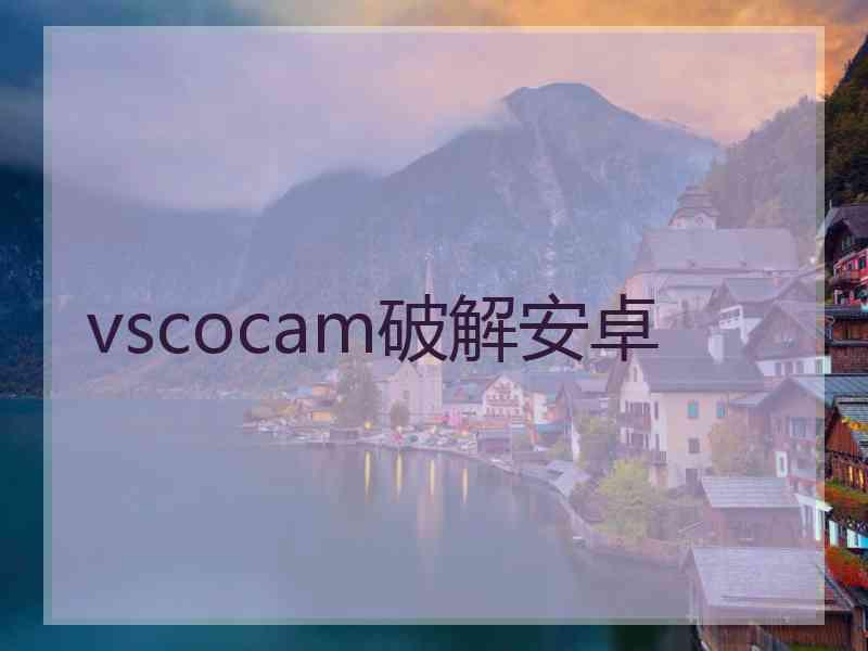 vscocam破解安卓
