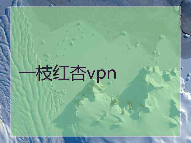 一枝红杏vpn