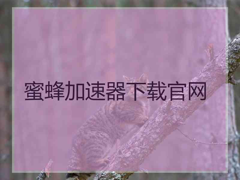 蜜蜂加速器下载官网