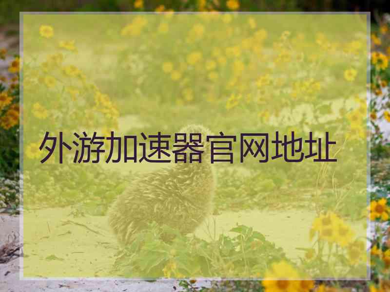 外游加速器官网地址