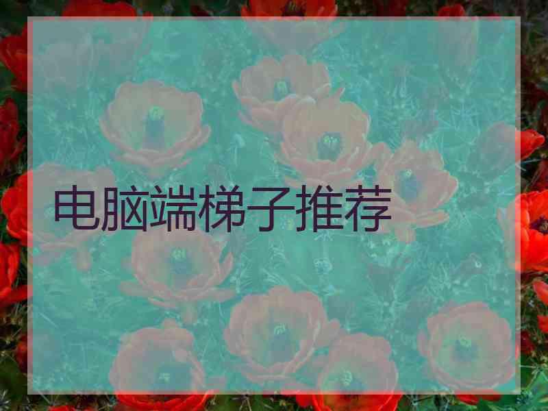 电脑端梯子推荐