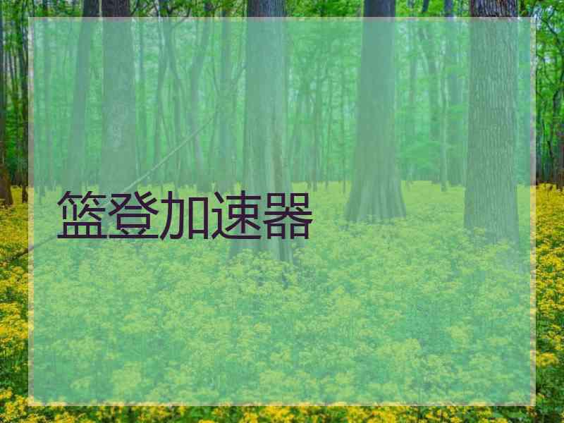 篮登加速器