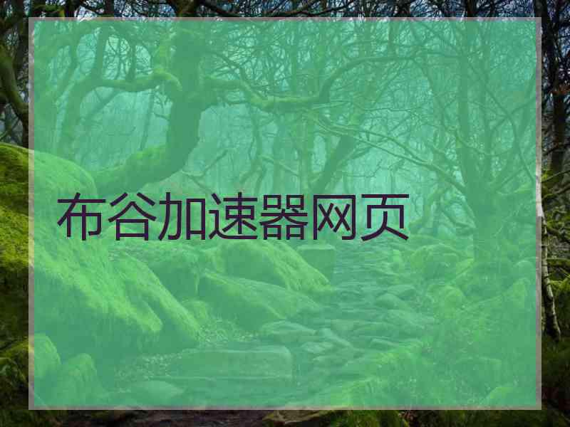 布谷加速器网页
