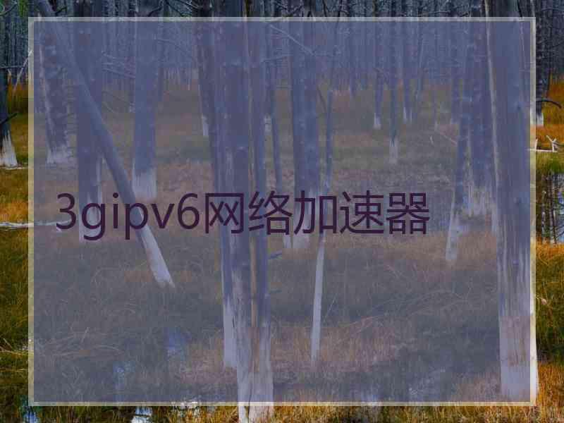 3gipv6网络加速器