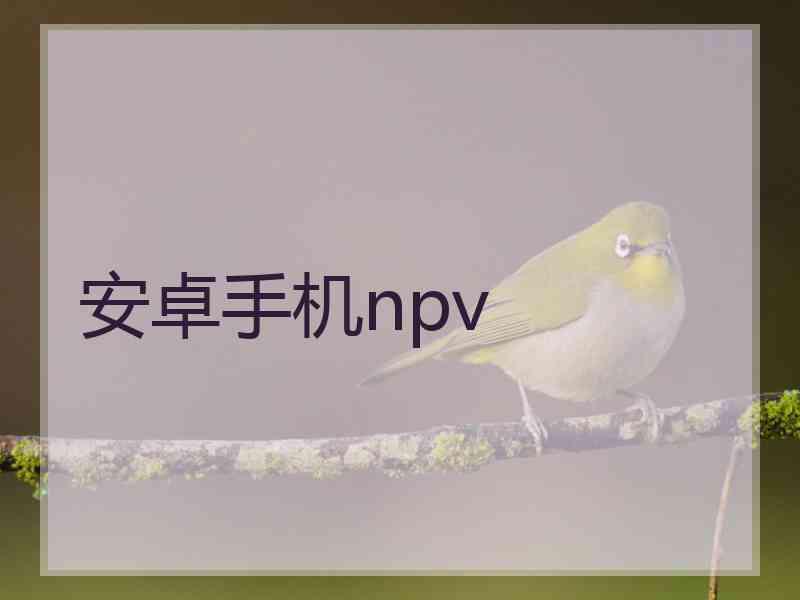安卓手机npv