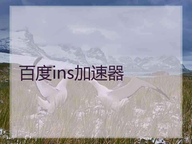 百度ins加速器