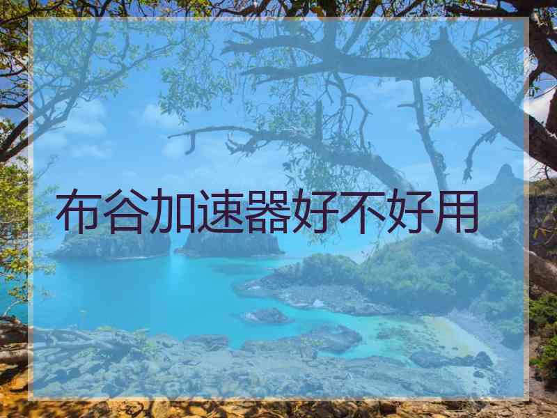 布谷加速器好不好用