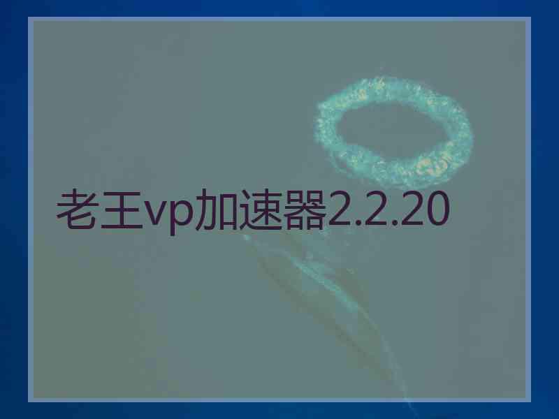 老王vp加速器2.2.20