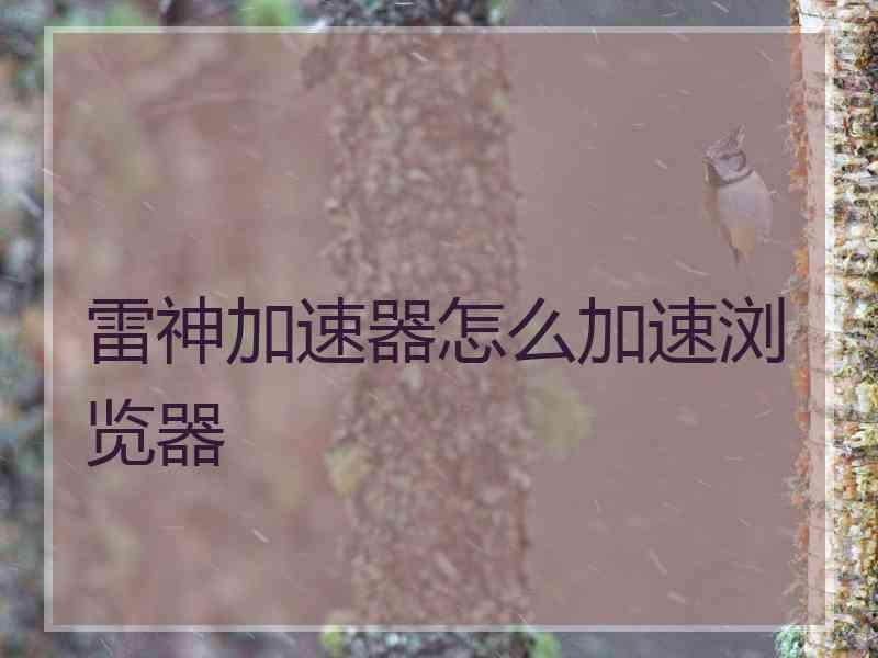 雷神加速器怎么加速浏览器