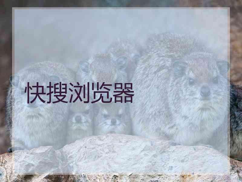 快搜浏览器