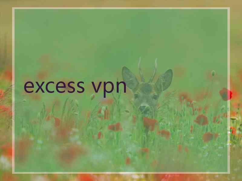 excess vpn
