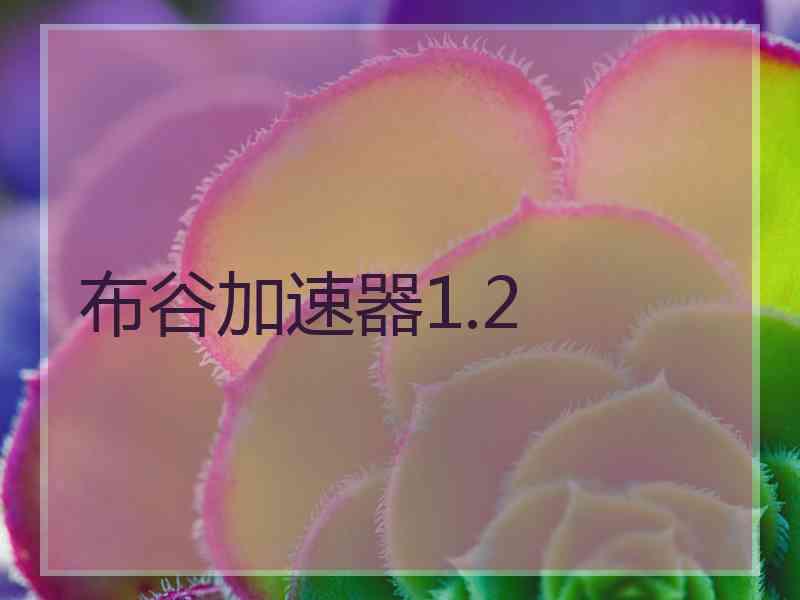 布谷加速器1.2