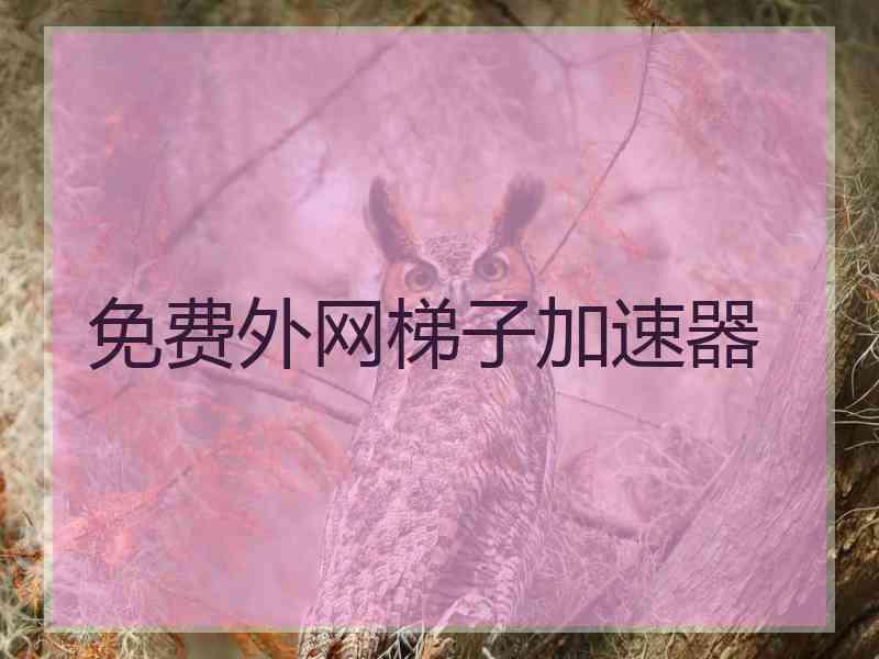 免费外网梯子加速器