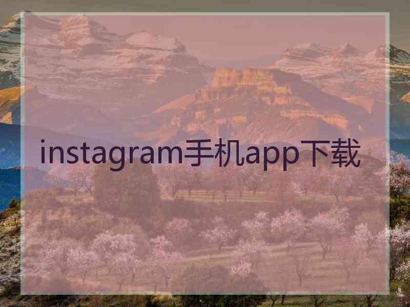 instagram手机app下载