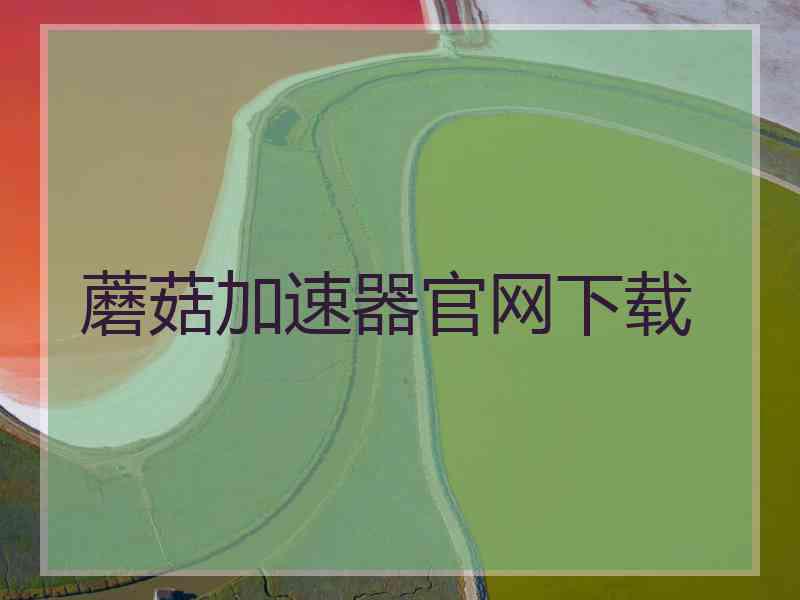 蘑菇加速器官网下载