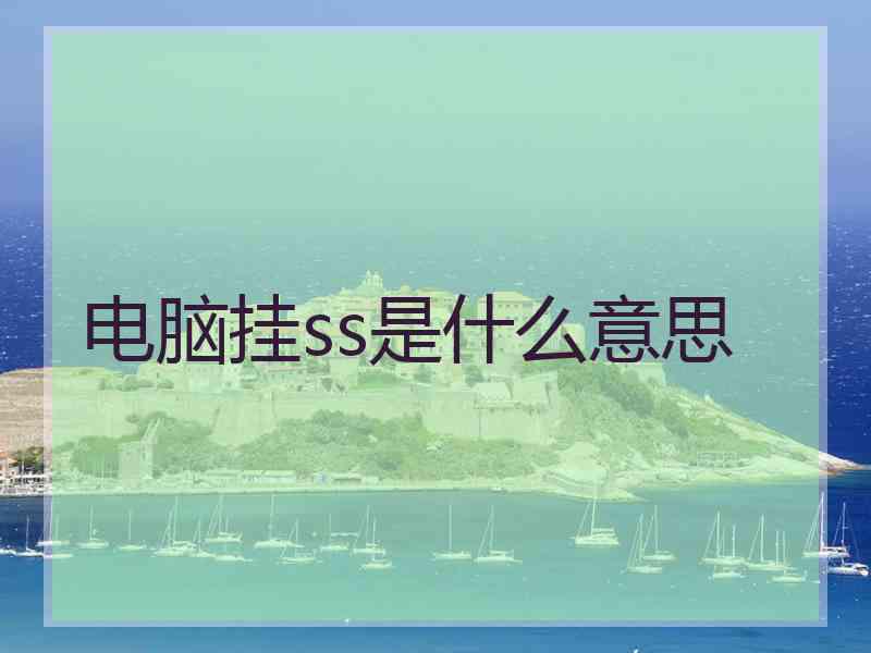 电脑挂ss是什么意思