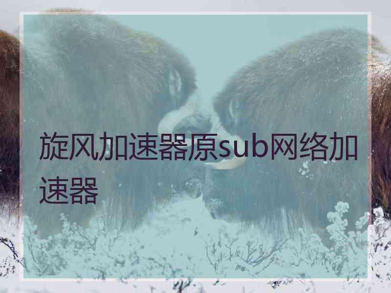 旋风加速器原sub网络加速器