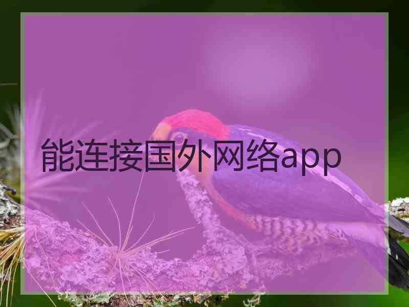 能连接国外网络app