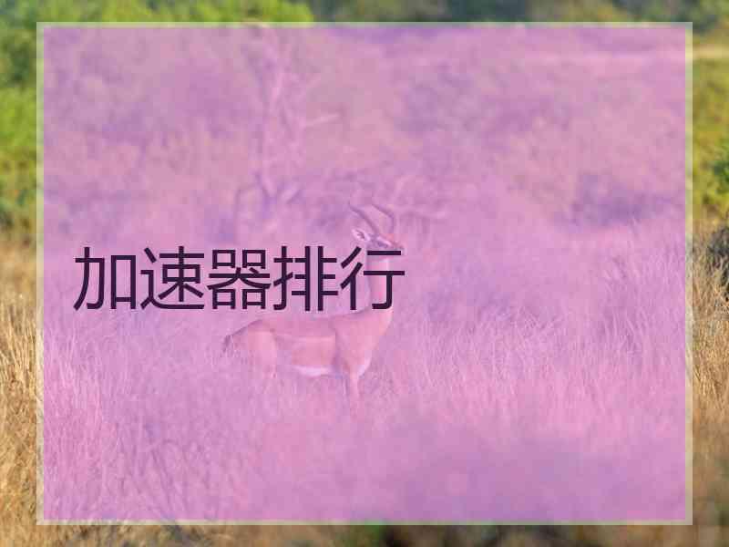 加速器排行