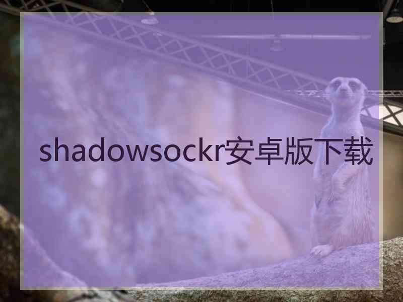 shadowsockr安卓版下载