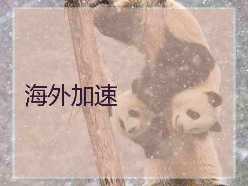 海外加速