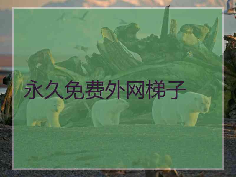 永久免费外网梯子