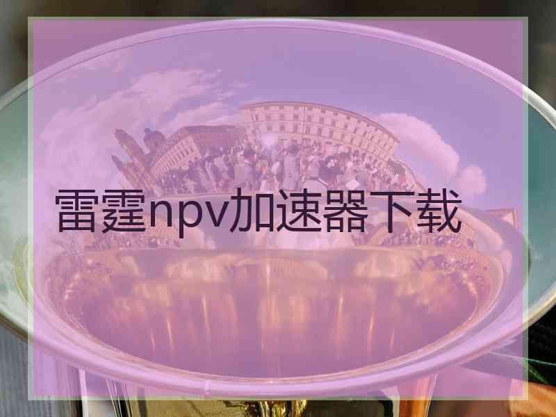 雷霆npv加速器下载