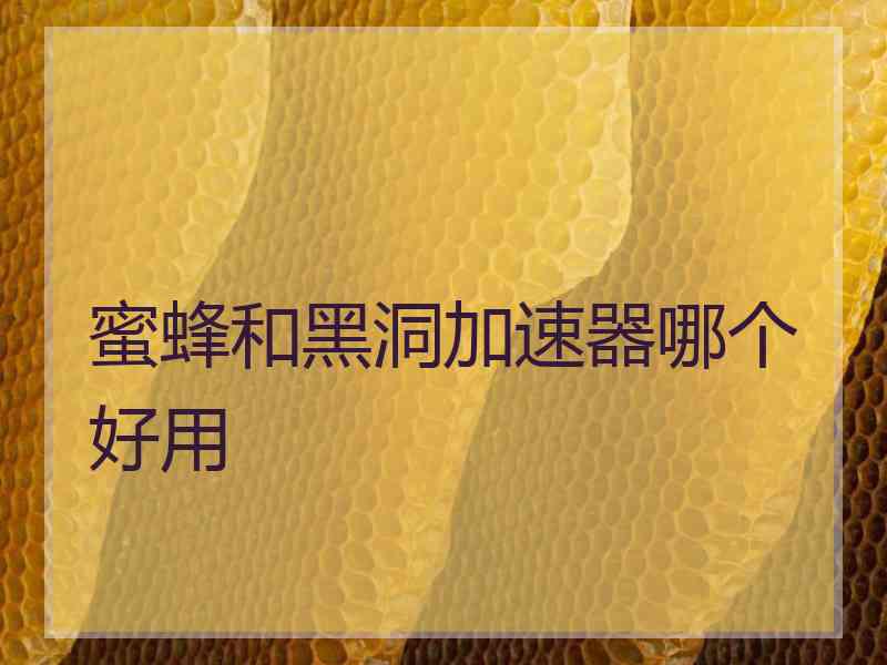 蜜蜂和黑洞加速器哪个好用