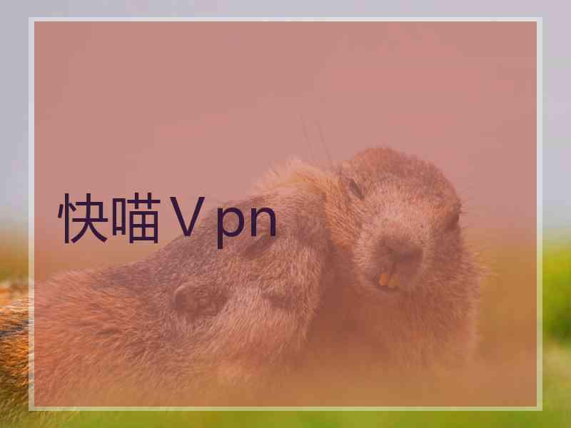 快喵Ⅴpn