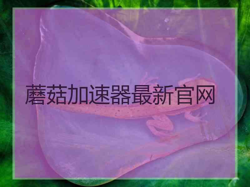 蘑菇加速器最新官网