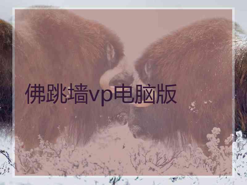 佛跳墙vp电脑版